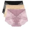 Agnes Orinda Women's 3 Pack Underwear Soft Briefs Lace Panties