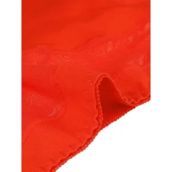 Agnes Orinda Women's 4 Pack Underwear Mid-Waist Soft Hipster Briefs Lace Panties -Agnes Sales Store GUEST 17eb9f89 99c8 48a6 af75 60e55de7595c