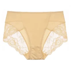 Agnes Orinda Women's Mid-Rise Lace Trim Brief Seamless Underwear -Agnes Sales Store GUEST 18a06cc8 0c7f 4e8b aa40 ced6520a223b