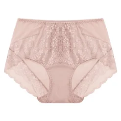 Agnes Orinda Women's Lace Trim High Rise Solid Brief Stretchy Underwear -Agnes Sales Store GUEST 2de11508 4bee 4a81 a243 01f09cae97be