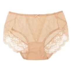 Agnes Orinda Women's Sheer Lace Trim High Rise Solid Brief Stretchy Underwear -Agnes Sales Store GUEST 36a276cb 98b5 440b 8098 75d7b1b8d46e