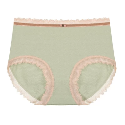 Agnes Orinda Women's Plus Size Lace Trim Cotton Brief Underwear Panties 6 Agnes Orinda Women's Plus Size Lace Trim Cotton Brief Underwear Panties - Image 6