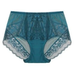 Agnes Orinda Women's Lace Trim High Rise Solid Brief Stretchy Underwear -Agnes Sales Store GUEST 43c384ff 8cb6 4eb4 8c38 16af746cb429