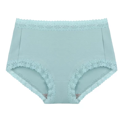 Agnes Orinda Women Plus Mid Waisted Lace Trim Soft Breathable Stretch Briefs Underwear 4 Agnes Orinda Women Plus Mid Waisted Lace Trim Soft Breathable Stretch Briefs Underwear - Image 4