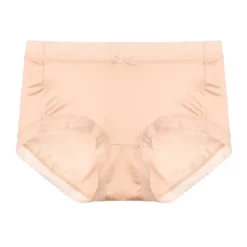 Agnes Orinda Women's High-Rise Brief Seamless Lace Trim Stretchy Cheeky Underwear -Agnes Sales Store GUEST 6a77e01b 9aeb 4437 a320 909269ac4019