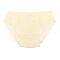 Agnes Orinda Women's Cute Floral Lace Brief Stretchy Cheeky Underwear -Agnes Sales Store GUEST 796a81cf 1bd4 4357 9cbe 991957f791fa