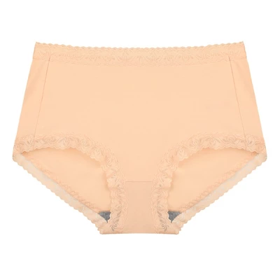 Agnes Orinda Women Plus Mid Waisted Lace Trim Soft Breathable Stretch Briefs Underwear 6 Agnes Orinda Women Plus Mid Waisted Lace Trim Soft Breathable Stretch Briefs Underwear - Image 6