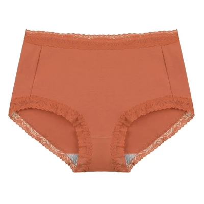 Agnes Orinda Women Plus Mid Waisted Lace Trim Soft Breathable Stretch Briefs Underwear 7 Agnes Orinda Women Plus Mid Waisted Lace Trim Soft Breathable Stretch Briefs Underwear - Image 7