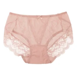 Agnes Orinda Women's Sheer Lace Trim High Rise Solid Brief Stretchy Underwear -Agnes Sales Store GUEST c13883cb 4c7f 42c2 a0af 74d3816cbcd1