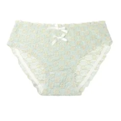 Agnes Orinda Women's Cute Floral Lace Brief Stretchy Cheeky Underwear -Agnes Sales Store GUEST d0b72e34 5057 4c40 bdc0 ba863cb341e0