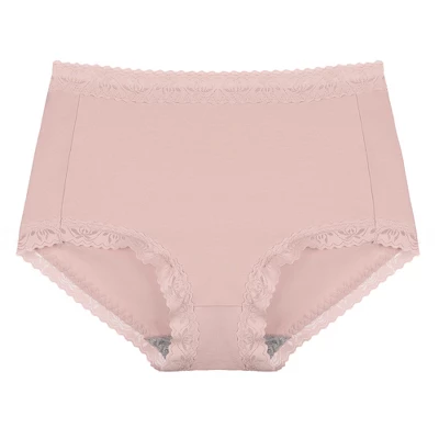 Agnes Orinda Women Plus Mid Waisted Lace Trim Soft Breathable Stretch Briefs Underwear 5 Agnes Orinda Women Plus Mid Waisted Lace Trim Soft Breathable Stretch Briefs Underwear - Image 5