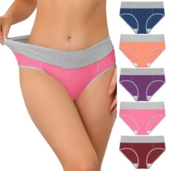Agnes Orinda Women's 5 Packs High Rise Brief Stretchy Underwear -Agnes Sales Store GUEST f2a3b010 45bb 466d 9c12 27d302bb9c8b