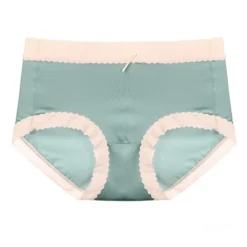 Agnes Orinda Women's High-Rise Brief Seamless Lace Trim Stretchy Cheeky Underwear -Agnes Sales Store GUEST f7f82610 8fb6 4908 bea9 7c9578c68303