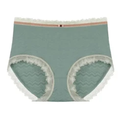 Agnes Orinda Women's Plus Size Lace Trim Cotton Brief Underwear Panties 11 Agnes Orinda Women's Plus Size Lace Trim Cotton Brief Underwear Panties -Agnes Sales Store GUEST fe4143df 6b2f 41d3 818b 03d41c973be0