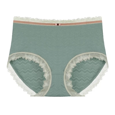 Agnes Orinda Women's Plus Size Lace Trim Cotton Brief Underwear Panties 5 Agnes Orinda Women's Plus Size Lace Trim Cotton Brief Underwear Panties - Image 5